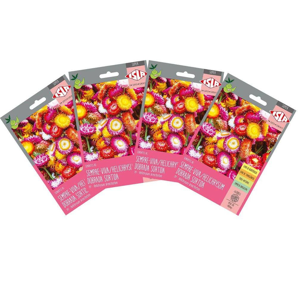 Sementes de Helichrysum Sempre-Viva Dobrada Super ISLA
