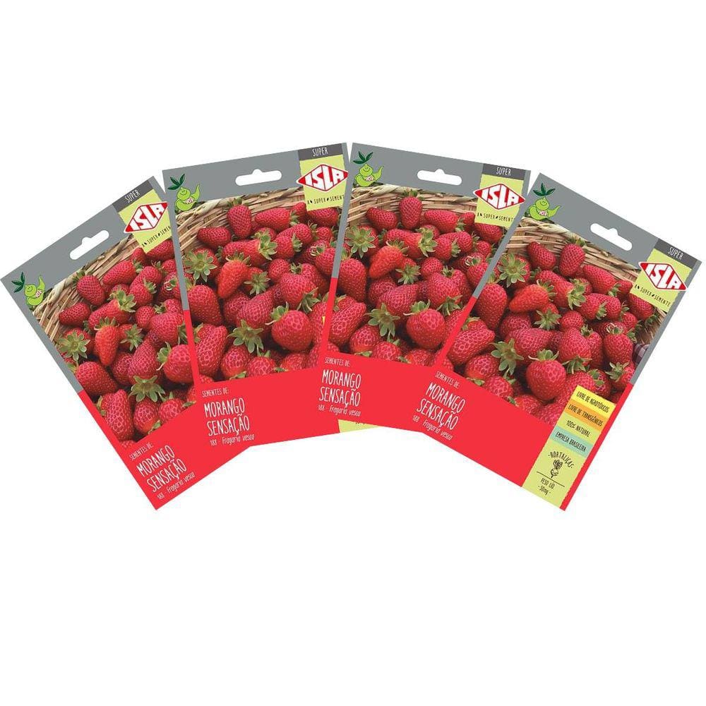 4X Sementes de Morango Sensação Super ISLA
