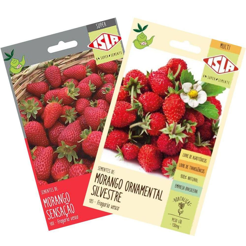 KIT Sementes de Morango Sensação e Morango Silvestre ISLA