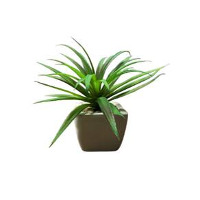Suculentas Artificiais Mini Vaso Cerâmica Branco