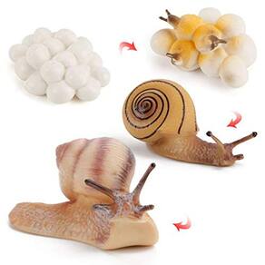 4 PCS Gary Farm Animal Life Cycle Modelo Figura Caracol Festa de Estatueta favorece suprimentos Bolo Toppers Desktop Decoração Coleção Brinquedos Educ