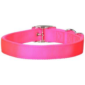 Coleira para cães Hamilton Thick Nylon Deluxe Double 2,54x60,96cm