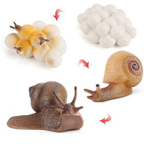Fantarea 4 PCS Caracol Animal Ciclo de Vida Modelo De Vida De Classe, Peças de Aula Desaquido Desaquivas Bolo Toppers Decoração de Área de Trabalho Br
