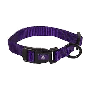 Coleira para cães Hamilton ajustável de nylon roxa 7-12 polegadas