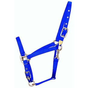 Horse Halter Hamilton Nylon Arabian com azul ajustável