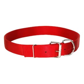Coleira de panturrilha Hamilton Deluxe Double Thick Nylon 4,4x91cm vermelha