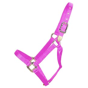 Horse Halter Hamilton Nylon 2,54 cm Pequeno 226,8 a 362,9 kg Ho