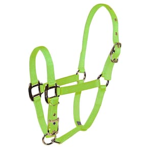 Pony Halter Hamilton 3/4 de nylon ajustável em limão