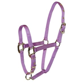 Pony Halter Hamilton 3/4 de nylon ajustável para queixo lavanda