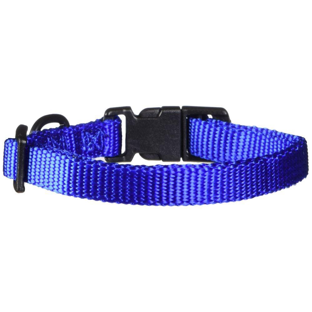 Coleira para cães Hamilton ajustável de nylon azul 7-12 polegadas