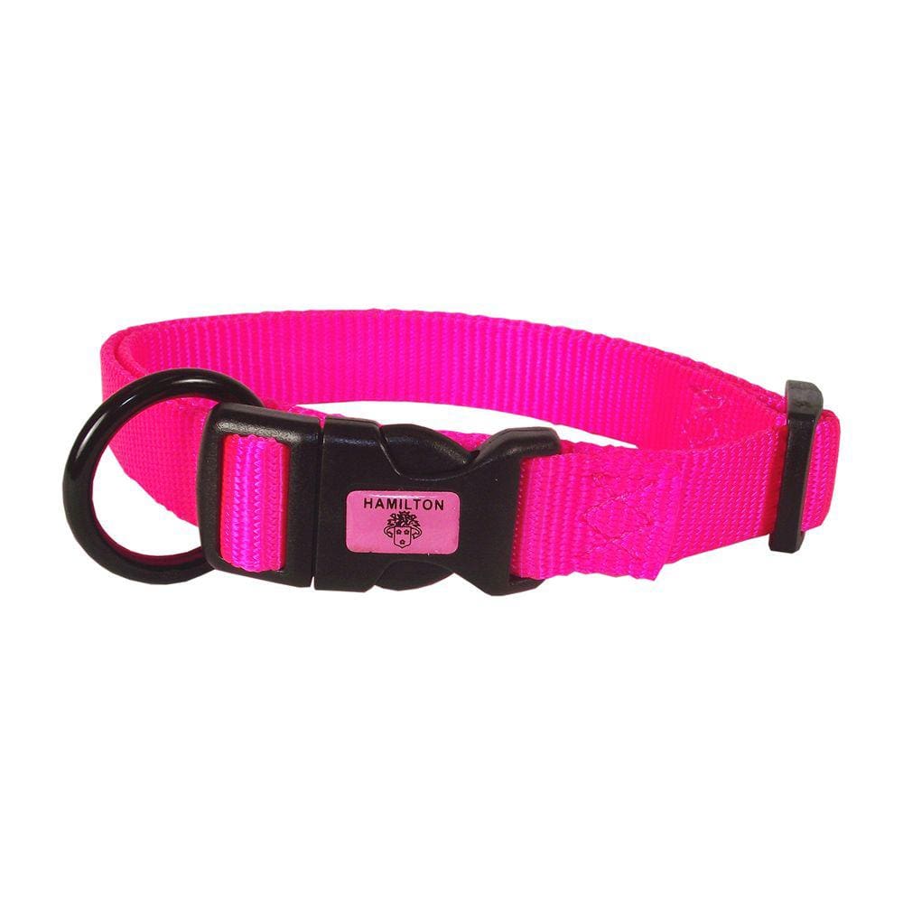 Coleira de cachorro Hamilton ajustável de nylon 16-22 cm para cães em crescimento