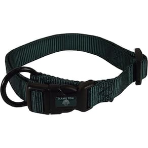Coleira para cães Hamilton ajustável de nylon verde escuro 1,6x30-45cm