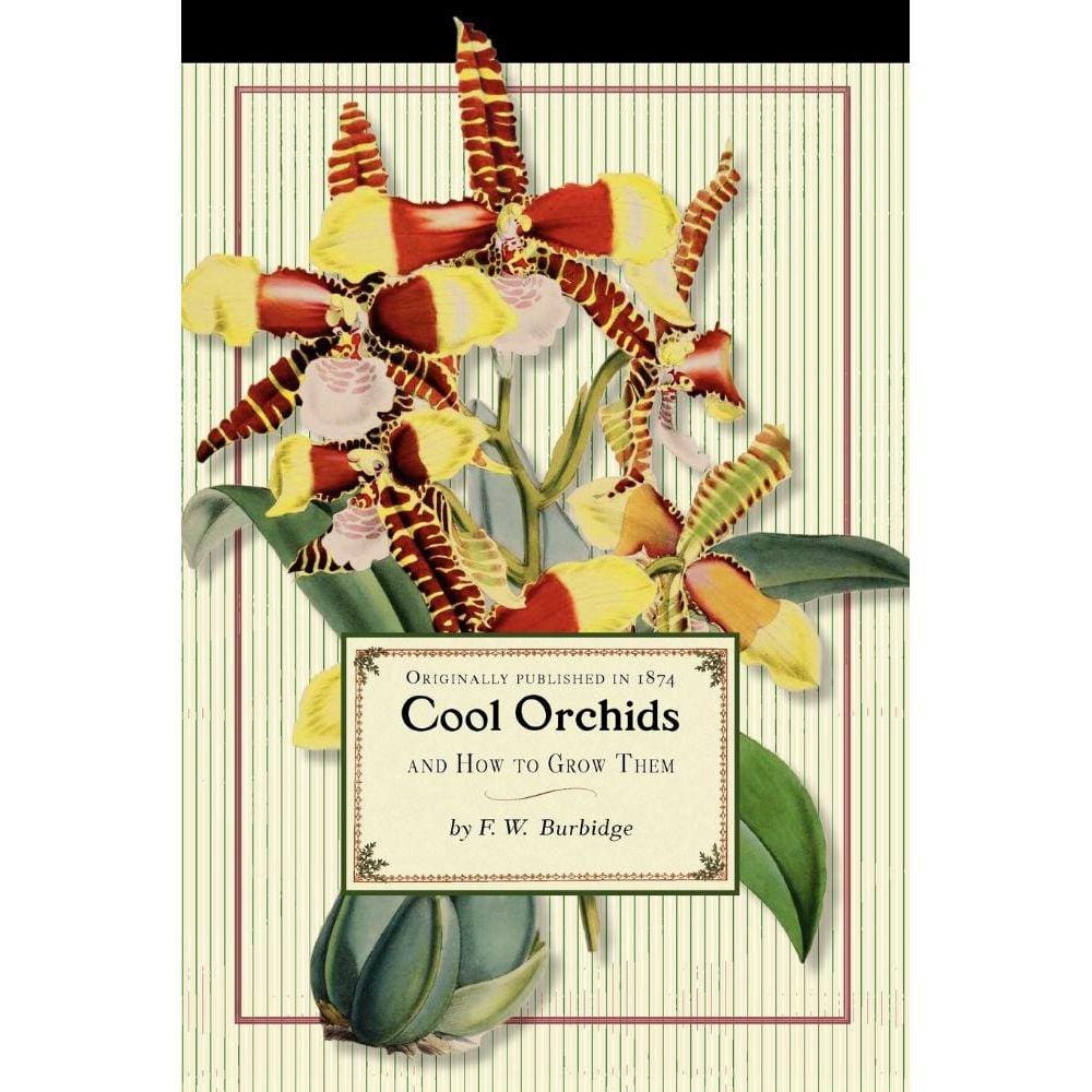 Cool Orchids