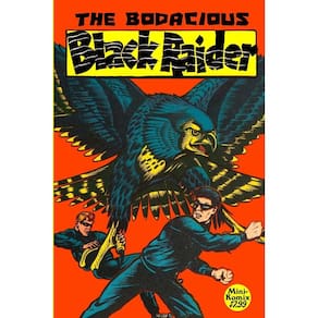 The Bodacious Black Raider