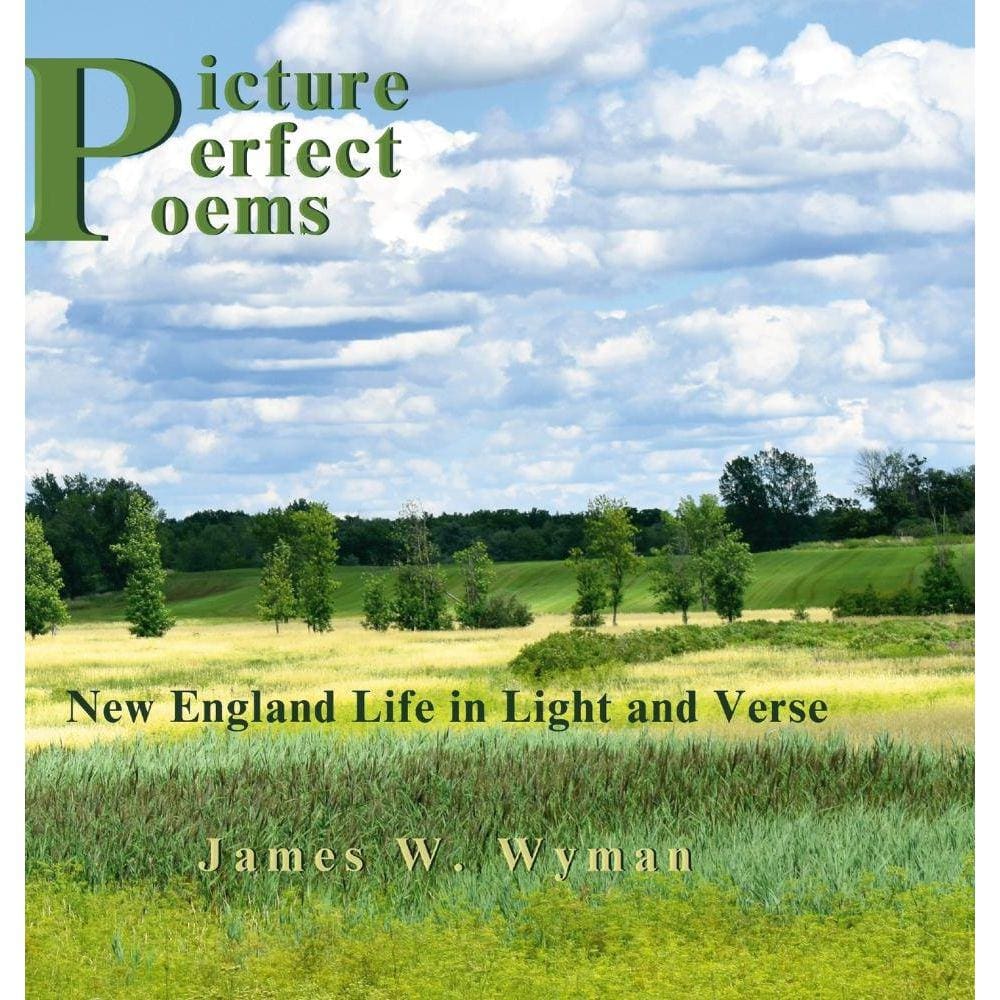 Picture Perfect Poems