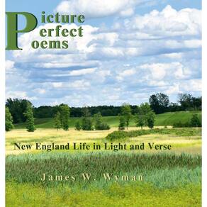 Picture Perfect Poems