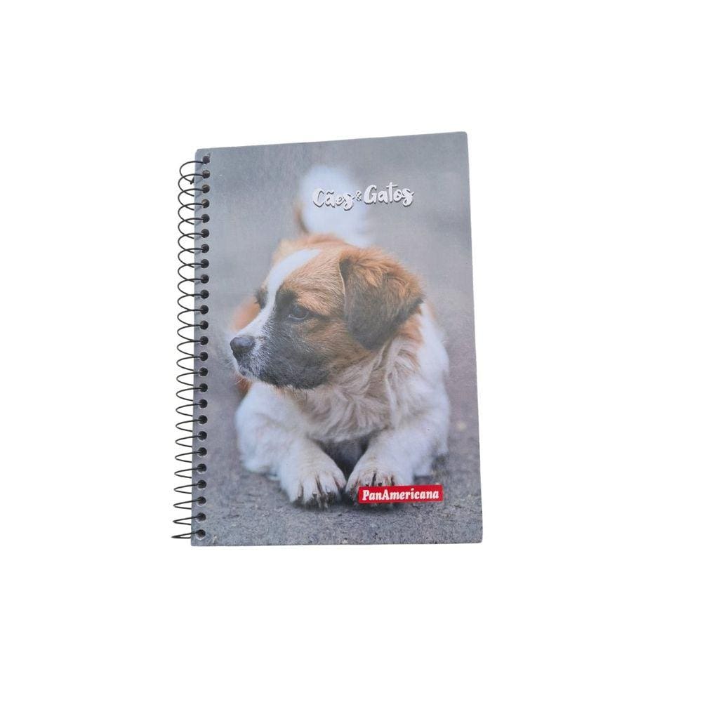 Caderno Pequeno