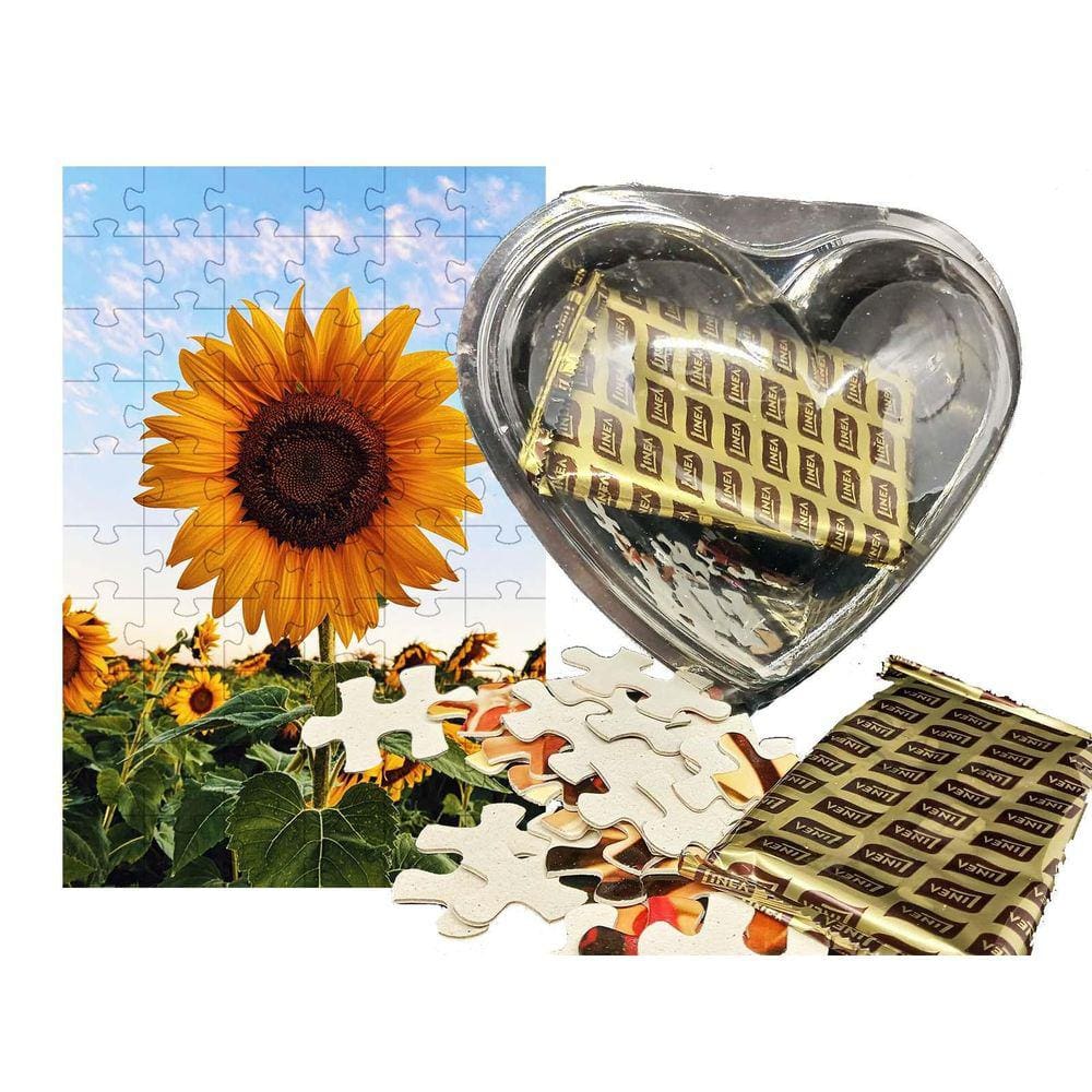 Presente Páscoa Diet Chocolate Idosos + 1 Quebra-Cabeça