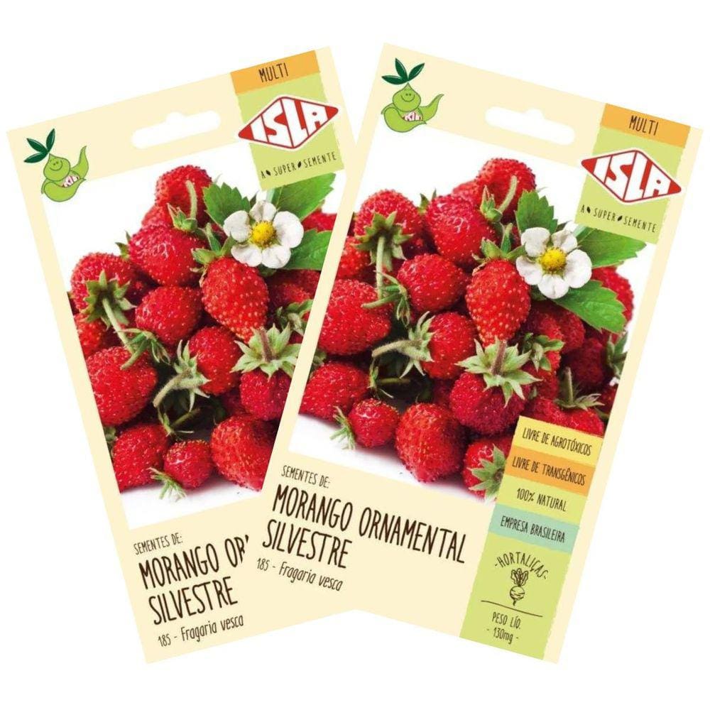 2X Sementes de Morango Ornamental Silvestre ISLA