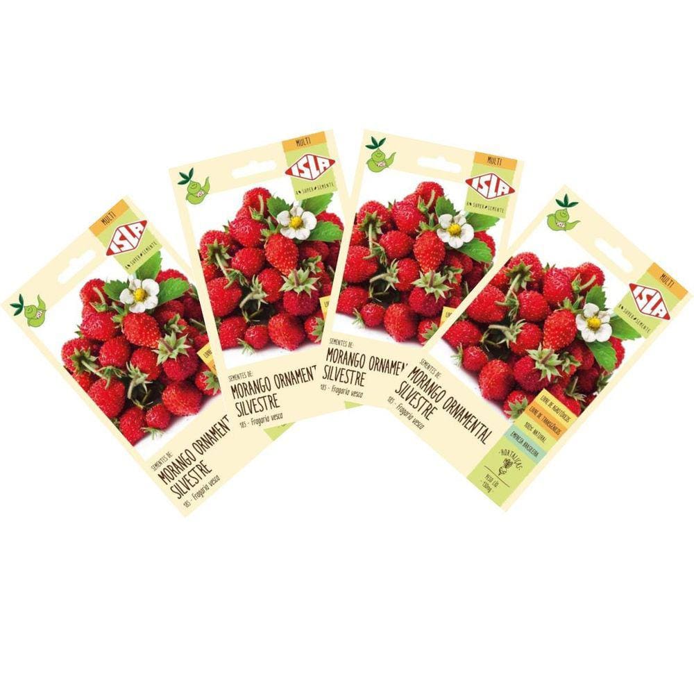 4X Sementes de Morango Ornamental Silvestre ISLA