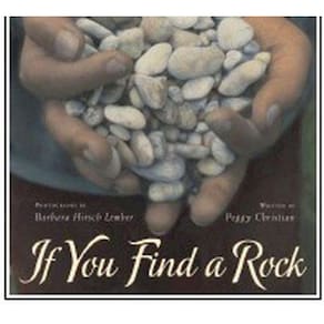 If You Find A Rock