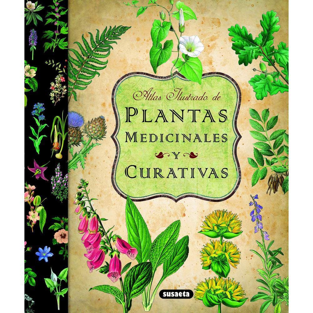 Atlas ilustrado de plantas medicinais e curativas (espanhol)