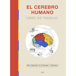 Livro Editorial Ariel Human Brain Workbook