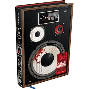 Amplificador