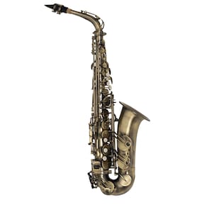 Saxofone Alto MICHAEL Acabamento Escovado - WASM31