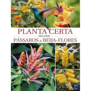 Planta Certa Para Atrair Passaros & Beija-Flores