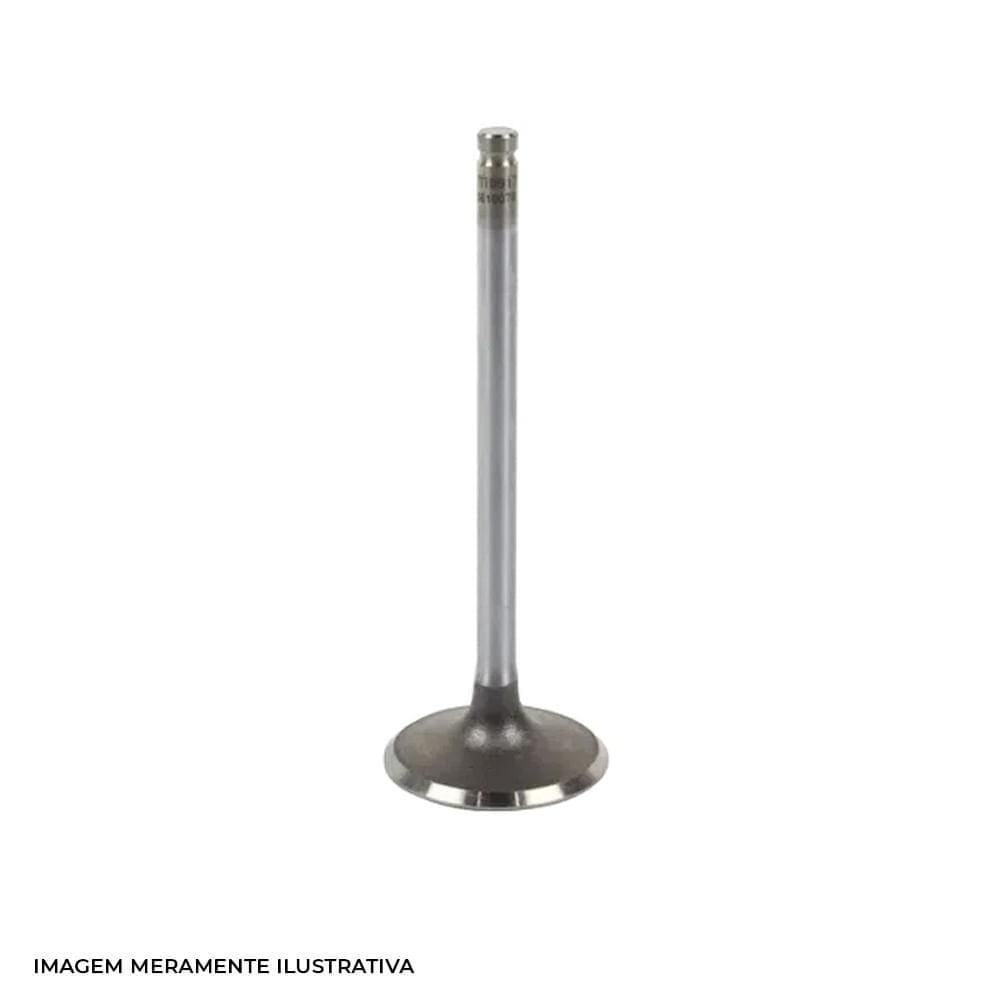 Valvula Admissao Metal Leve VA0511696 STD CG 160 Cargo Start