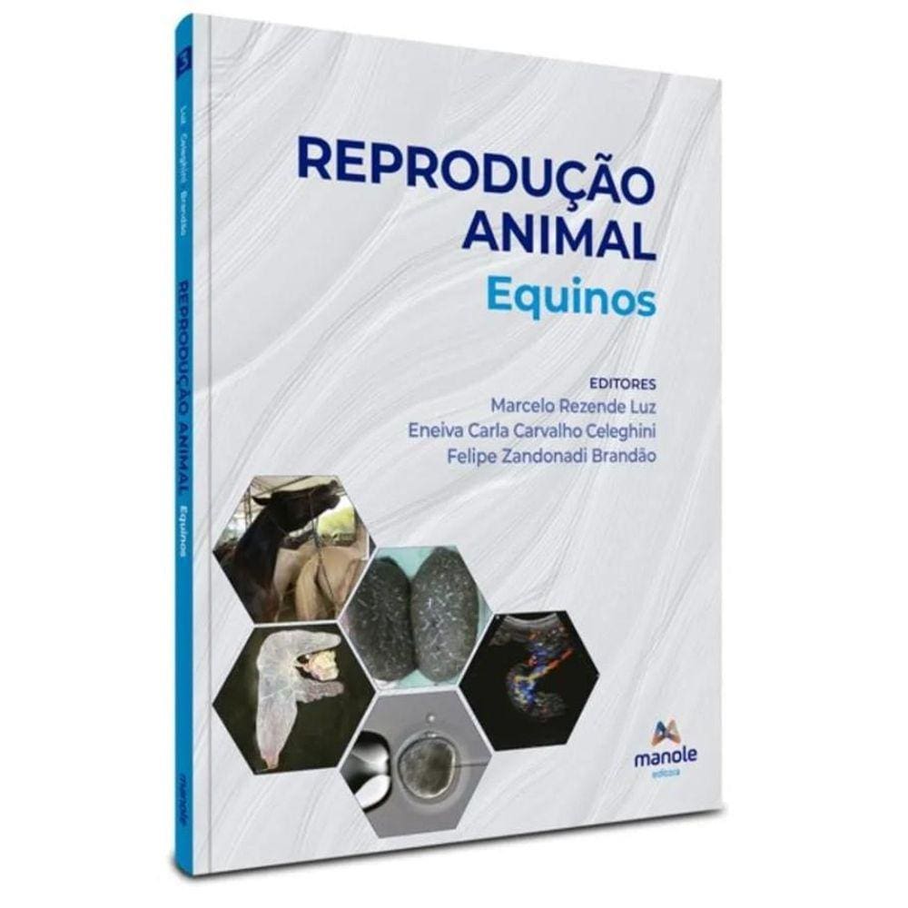 Reproducao Animal Equinos