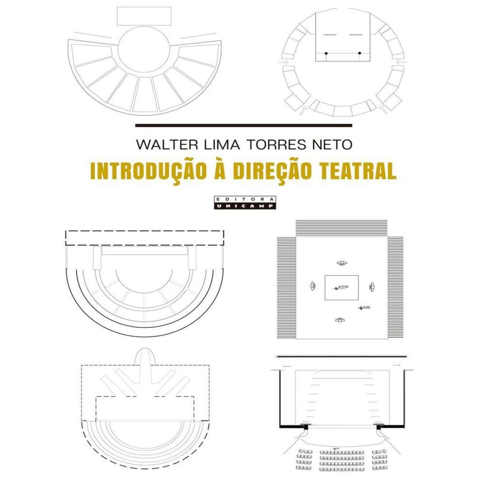 Introducao A Direcao Teatral