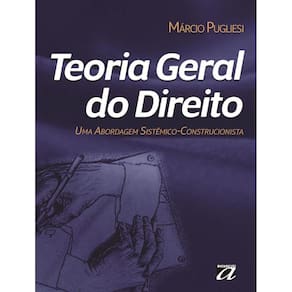 Teoria Geral Do Direito - Uma Abordagem Sistemico-Construcionista
