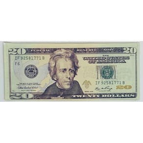 Carteira Slim Dinheiro Nota De Dólar Cédula De 20