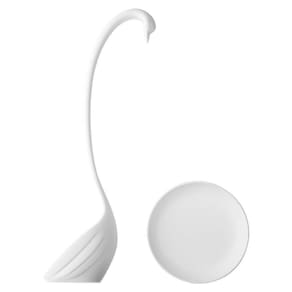 Concha Cisne Com Base De Apoio Branco