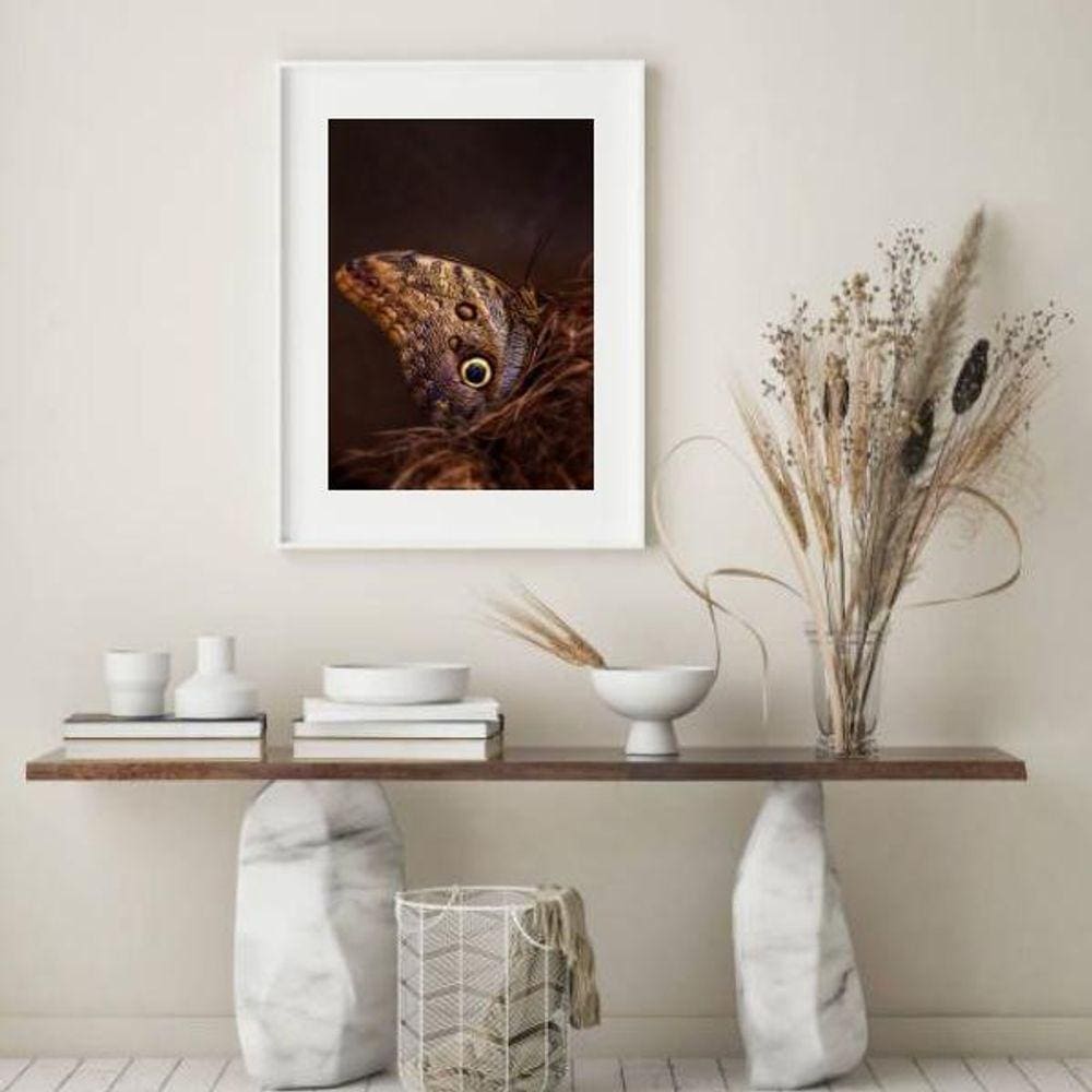 Quadro Fotografia Borboleta Marrom - 60X48 Cm