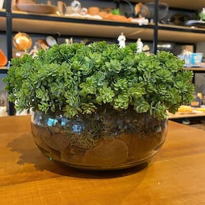 Arranjo Centro de Mesa Vaso Incolor com Verdinho Completo