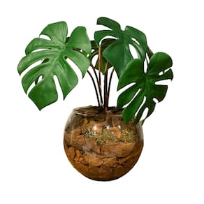 Arranjo Centro de Mesa Mini Costela de Adão Artificial Completo