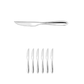 Conjunto 6 Facas De Mesa Para Carne Churrasco Aço Inox 21Cm