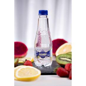 Água Mineral Gourmet Caxambu S/g - Pack 12X330ML