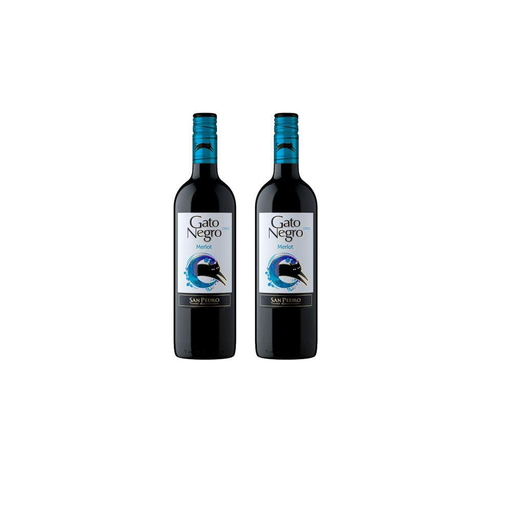 Kit Vinho Gato Negro Merlot Tinto Meio Seco Chileno 750ml 2u