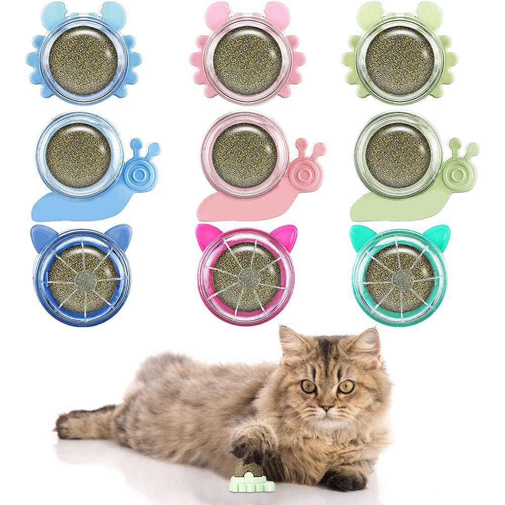 Brinquedo Catnip Wall Ball Harrycle para gato Kitten Kitty Pet 9 unidades