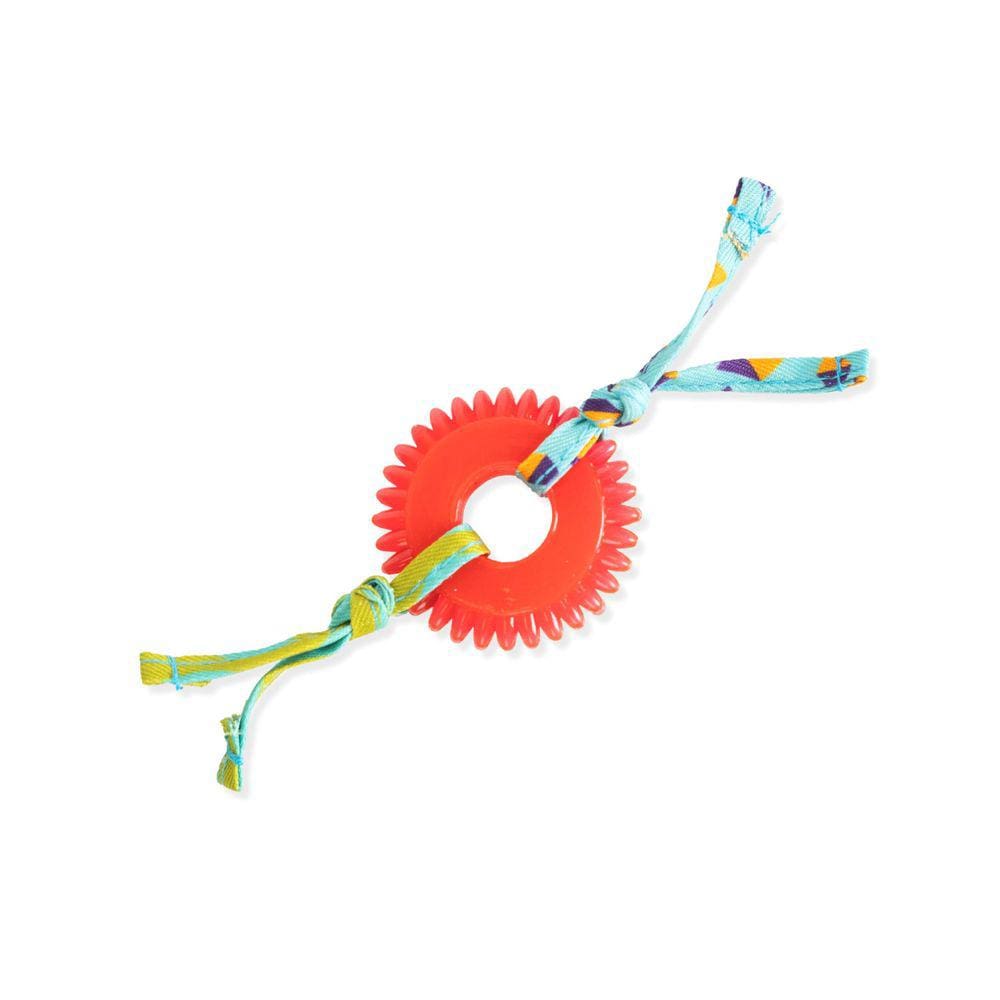 Cat Toy Catstages Dental Kitty Chew Wheel com catnip para gatos