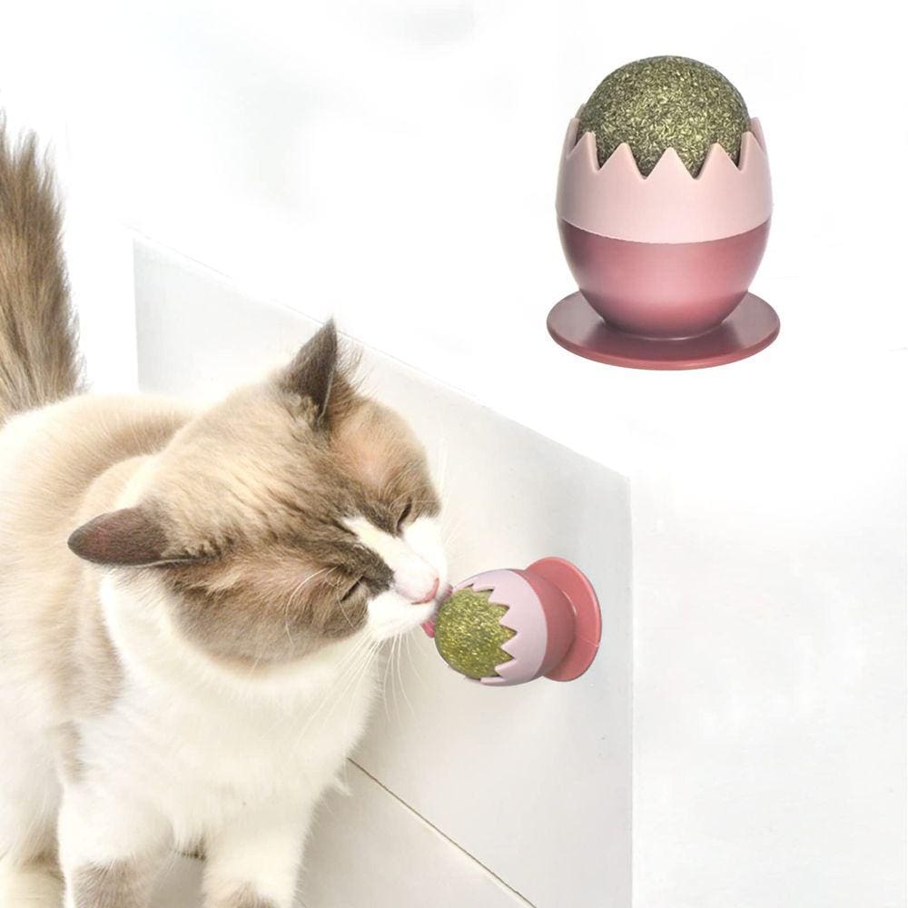 Brinquedo Catnip Balls Petslucent para gatos, rotativo, comestível