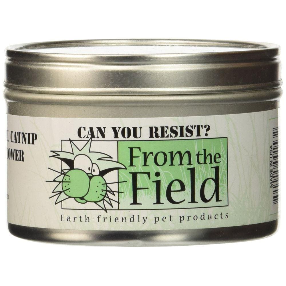 Catnip do campo: você pode resistir a folhas e flores, 30 ml?