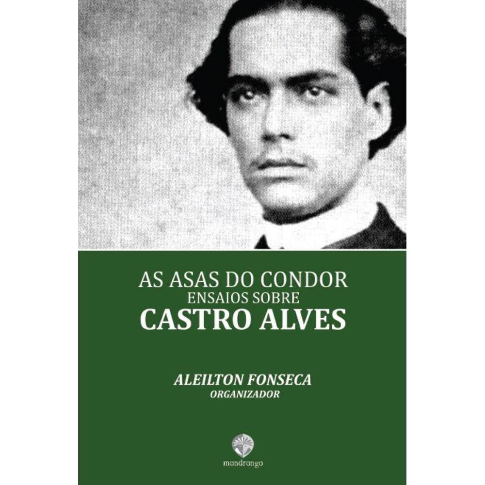As asas do Condor: ensaio sobre Castro Alves