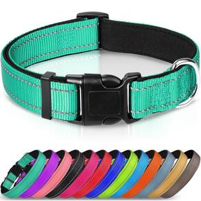 Coleira para cães Joytale Reflective Neoprene Acolchoada Nylon Teal