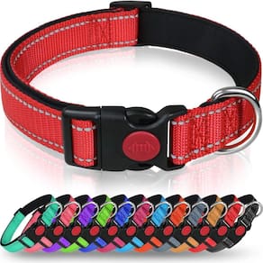 Coleira de cachorro Taglory Reflective Nylon para cães grandes, vermelha