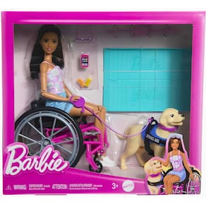Boneca Barbie Fashion Cadeira De Rodas E Cão HJY85 Mattel